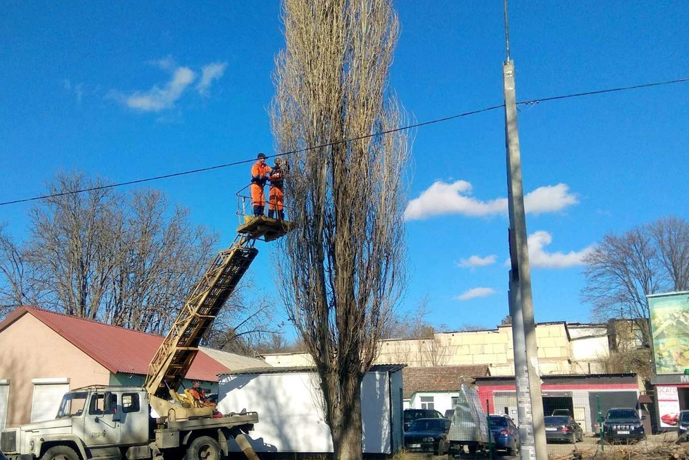 Муниципальные бюджетные учреждения симферополя