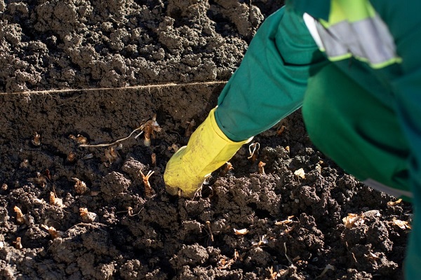 80a281ff909f93a3a2f942f3b2bc1879