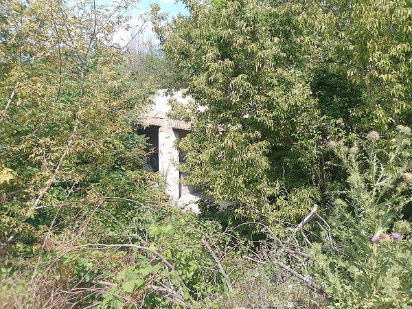photo 2025 08 13 12 35 24