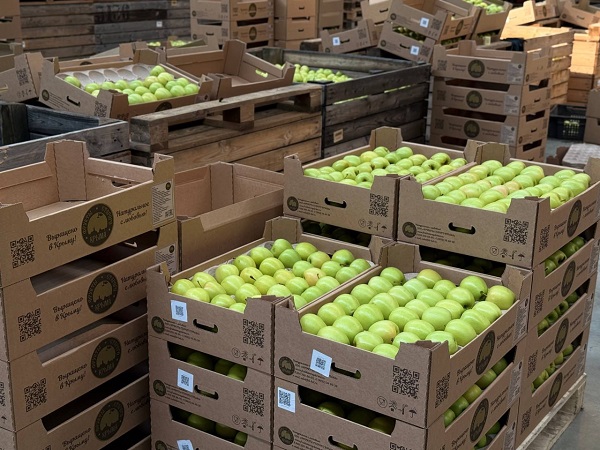 photo 2025 10 29 18 54 44