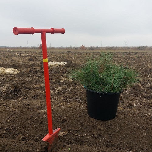 photo 2025 11 18 18 57 48