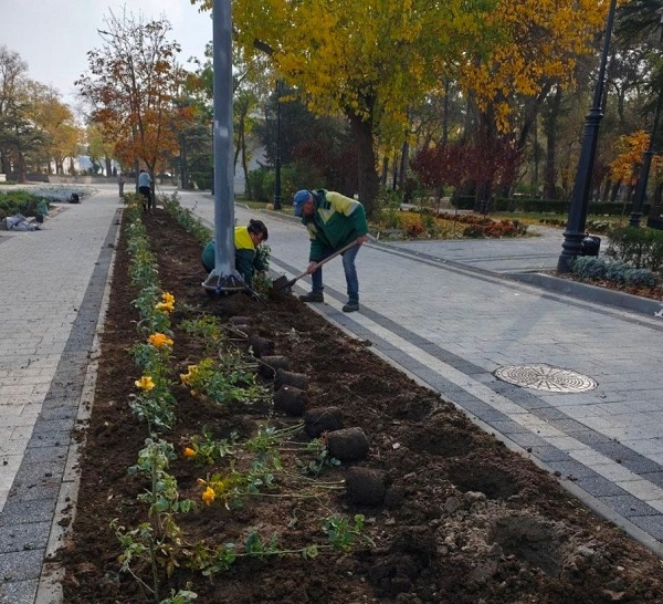 photo 2025 11 19 19 19 00