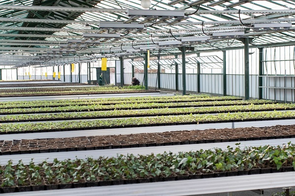 photo 2025 11 28 19 04 58