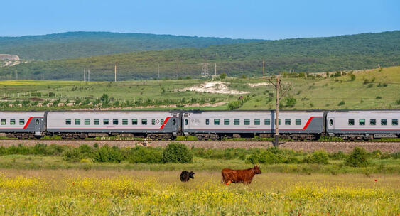 Train go on