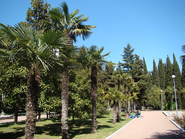 Park